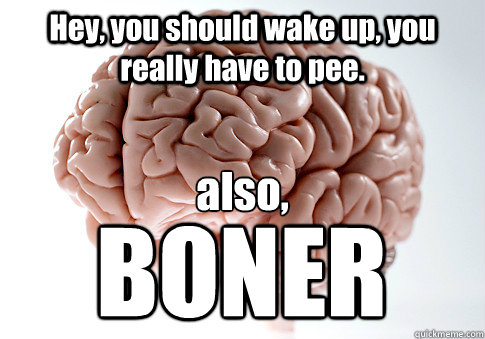 hey you should wake up you really have to pee also bone - Scumbag Brain