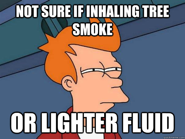 not sure if inhaling tree smoke or lighter fluid - Futurama Fry
