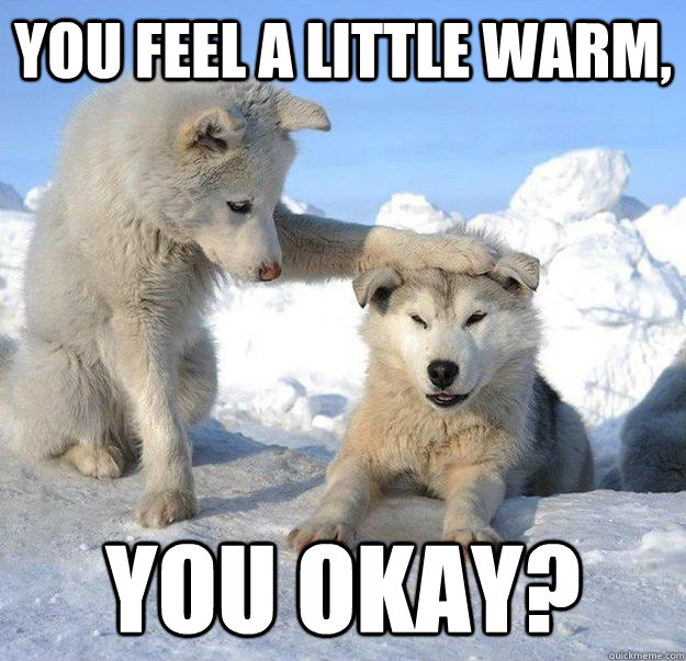 you feel a little warm you okay - Caring Husky