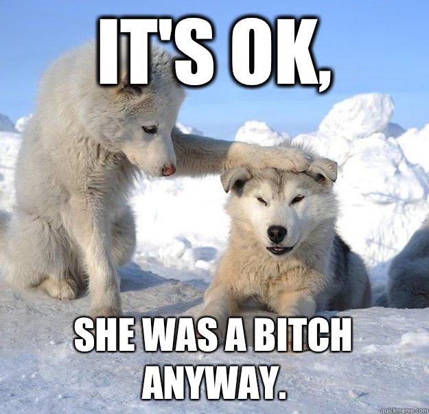 Its ok She was a bitch anyway - Caring Husky