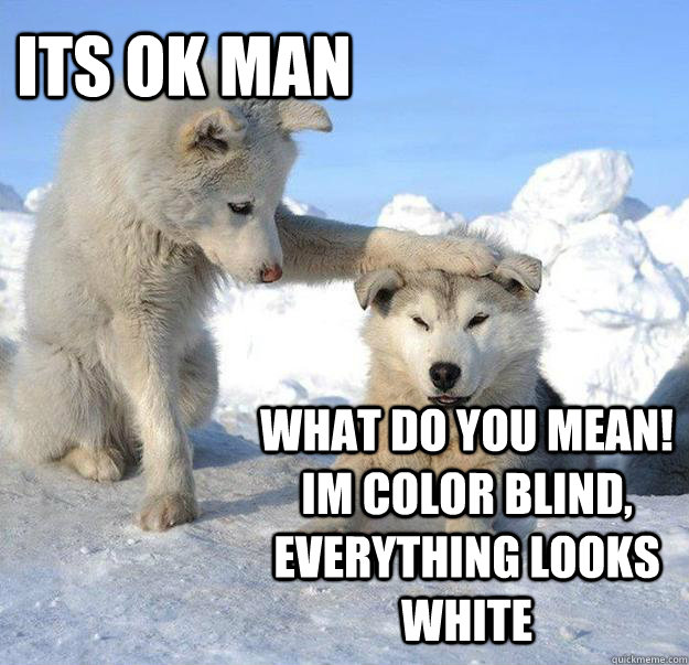 its ok man what do you mean im color blind everything look - Caring Husky