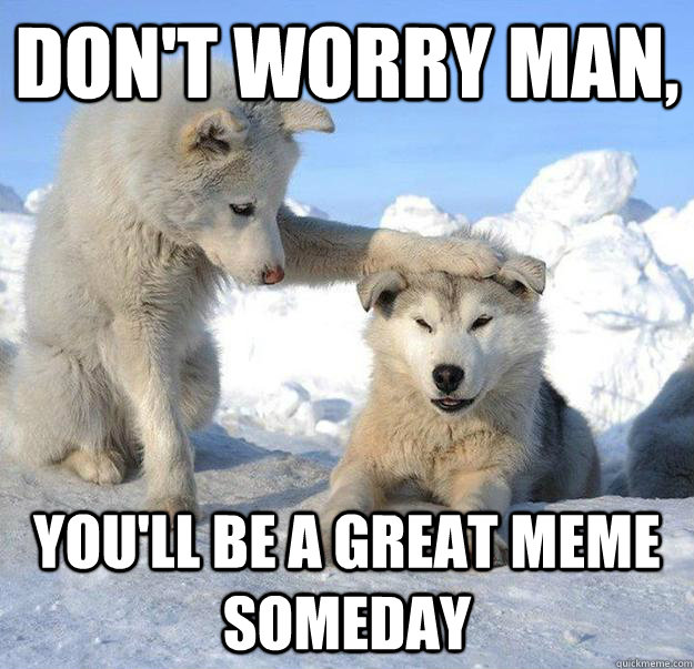 dont worry man youll be a great meme someday - Caring Husky