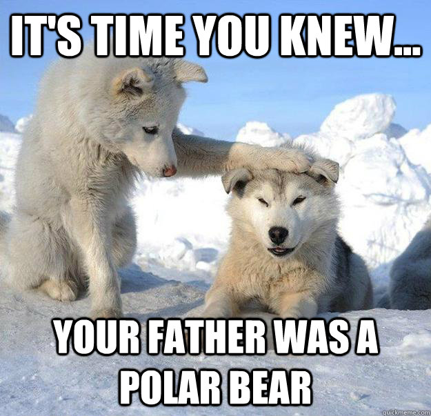 its time you knew your father was a polar bear - Caring Husky