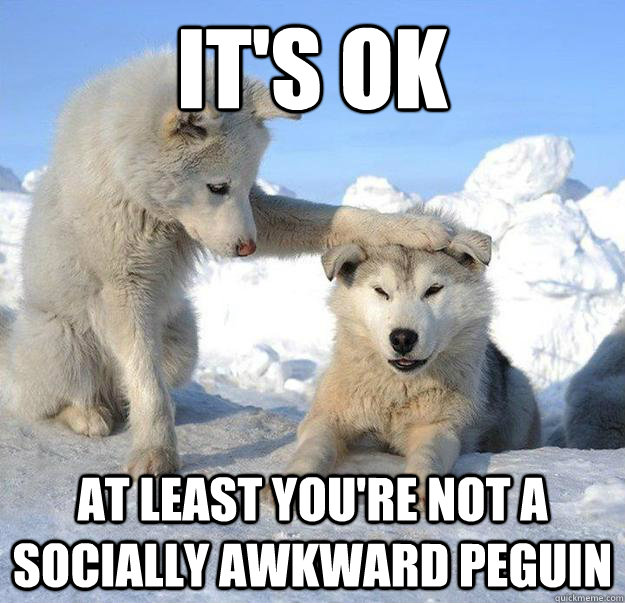 its ok at least youre not a socially awkward peguin - Caring Husky