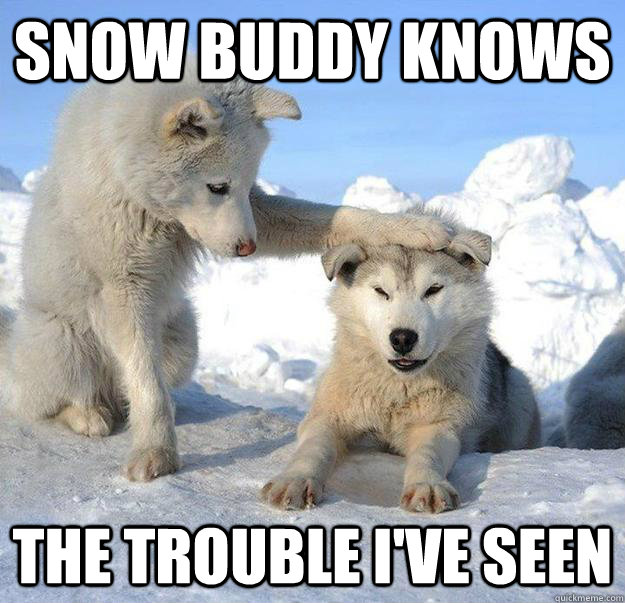snow buddy knows the trouble ive seen - Caring Husky
