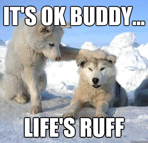 its ok buddy lifes ruff - Caring Husky