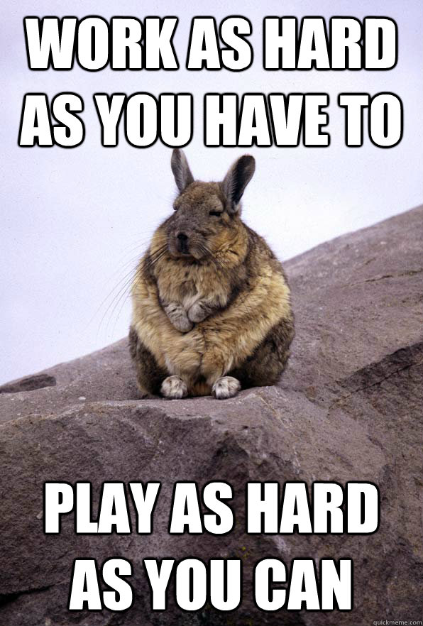 work as hard as you have to play as hard as you can - Wise Wondering Viscacha