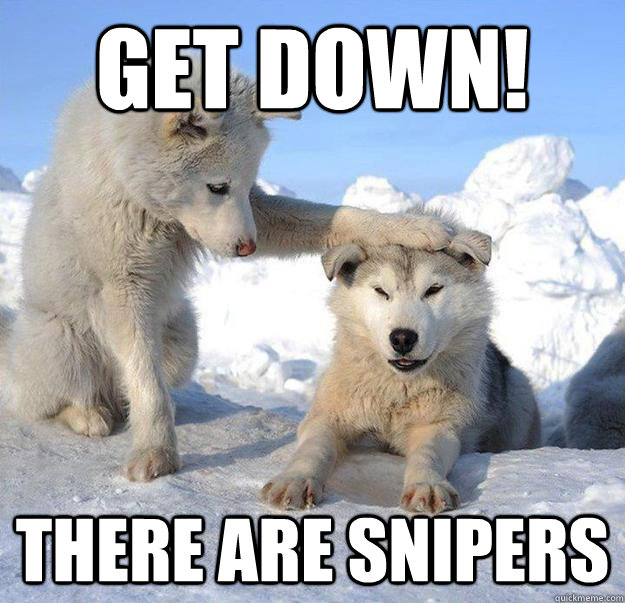 get down there are snipers - Caring Husky