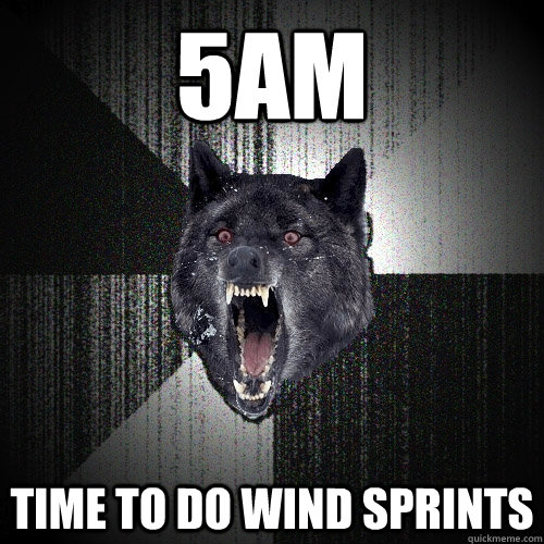 5am time to do wind sprints - Insanity Wolf