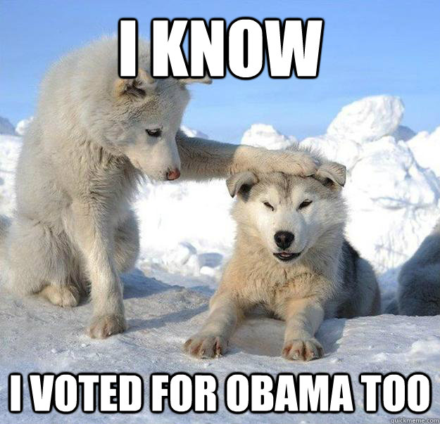 i know i voted for obama too - Caring Husky