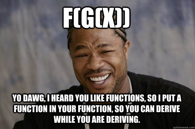 fgx yo dawg i heard you like functions so i put a func - Xzibit meme