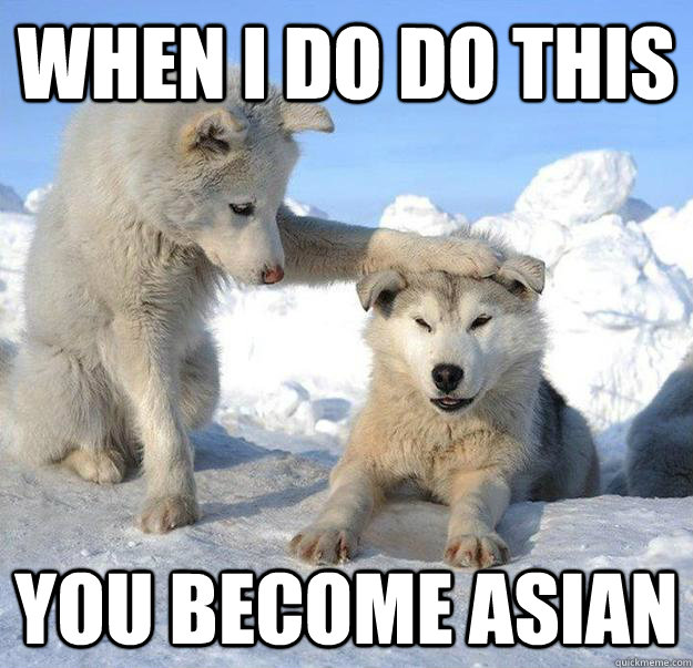 when i do do this you become asian - Caring Husky