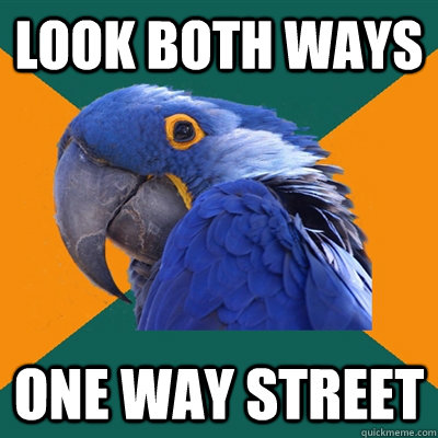 look both ways one way street - Paranoid Parrot