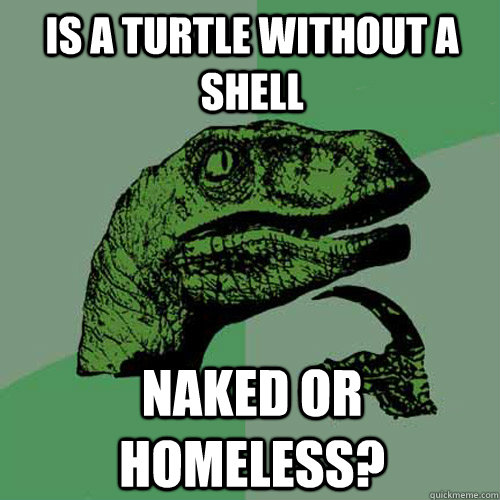 is a turtle without a shell naked or homeless - Philosoraptor
