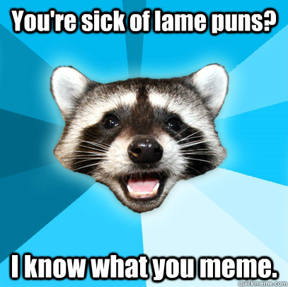 youre sick of lame puns i know what you meme - Lame Pun Coon