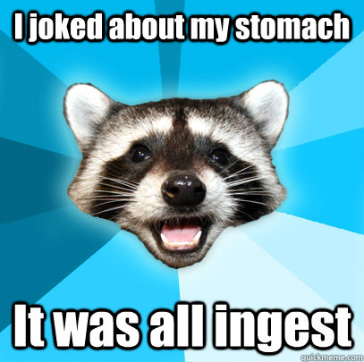 i joked about my stomach it was all ingest - Lame Pun Coon
