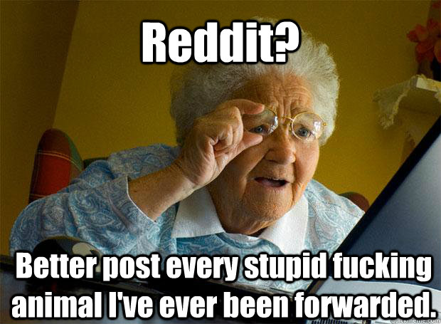 reddit better post every stupid fucking animal ive ever be - Grandma finds the Internet