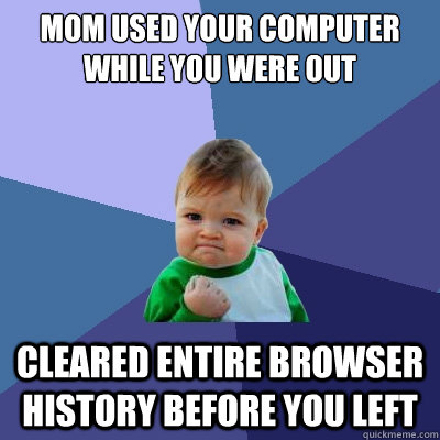 mom used your computer while you were out cleared entire bro - Success Kid