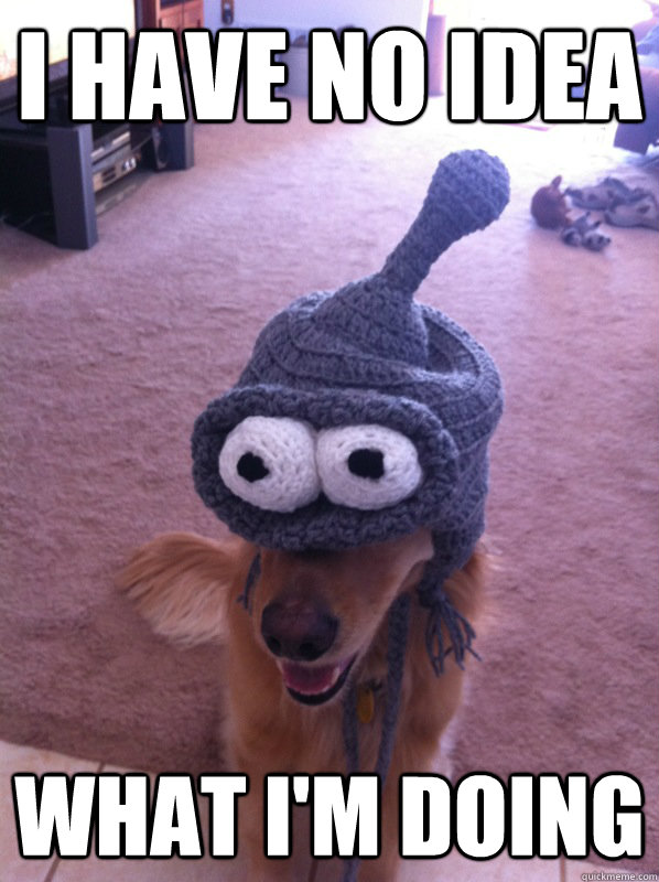i have no idea what im doing -