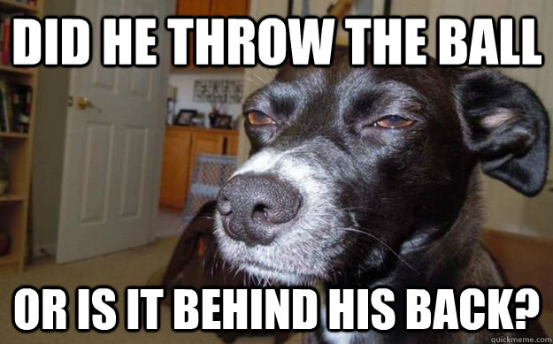 did he throw the ball or is it behind his back - Skeptical Mutt