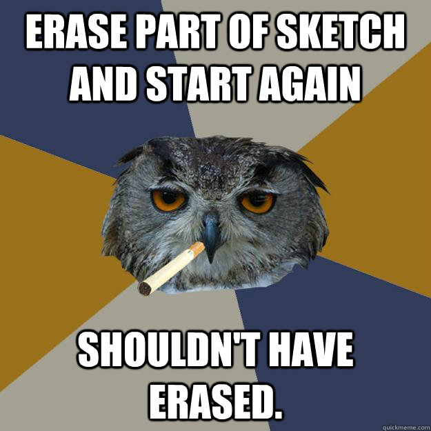 erase part of sketch and start again shouldnt have erased - Art Student Owl