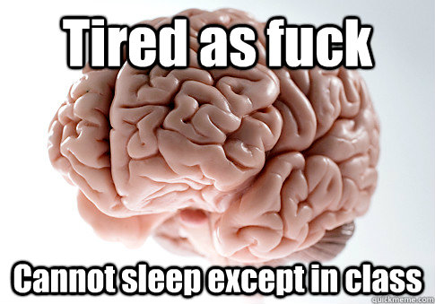 tired as fuck cannot sleep except in class - Scumbag Brain