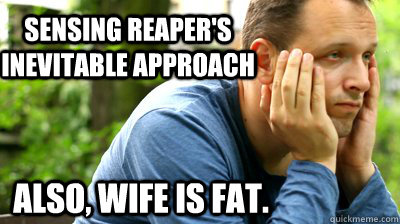sensing reapers inevitable approach also wife is fat - middle aged meme