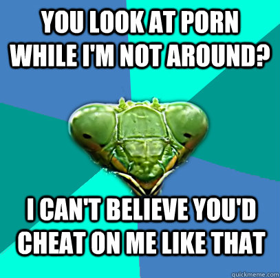 you look at porn while im not around i cant believe youd - Crazy Girlfriend Praying Mantis