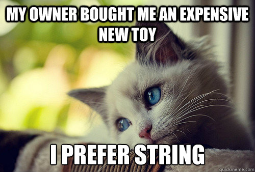 my owner bought me an expensive new toy i prefer string - First World Cat Problems