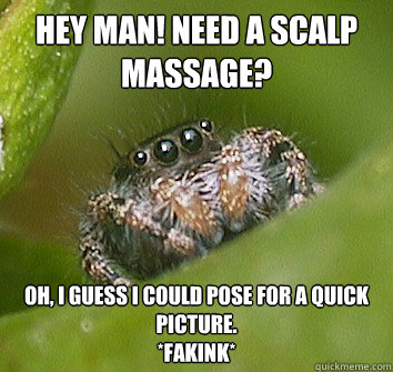 hey man need a scalp massage oh i guess i could pose for - Misunderstood Spider