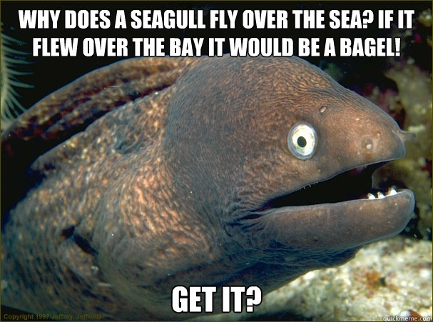 why does a seagull fly over the sea if it flew over the bay -