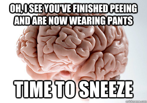 oh i see youve finished peeing and are now wearing pants t - Scumbag Brain