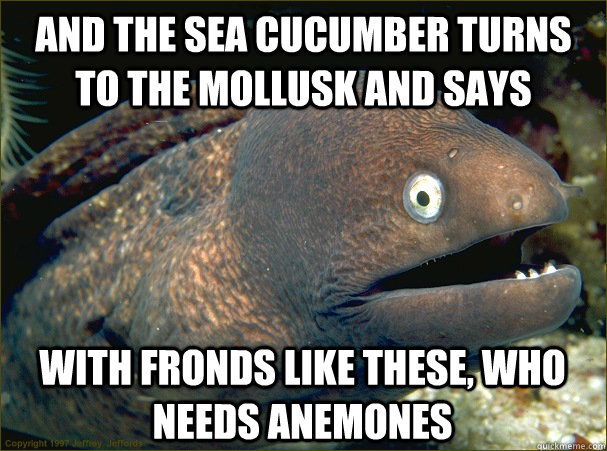 and the sea cucumber turns to the mollusk and says with fron - Bad Joke Eel