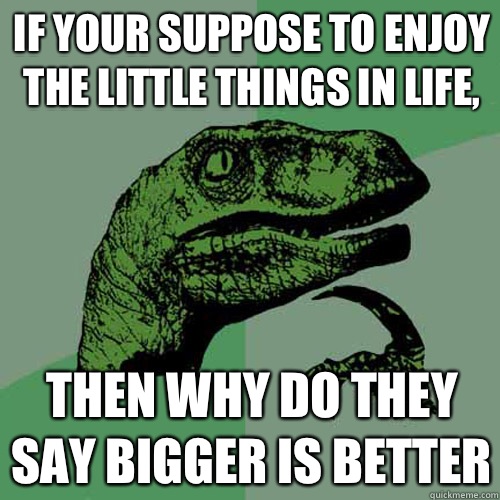 If your suppose to enjoy the little things in life Then why - Philosoraptor