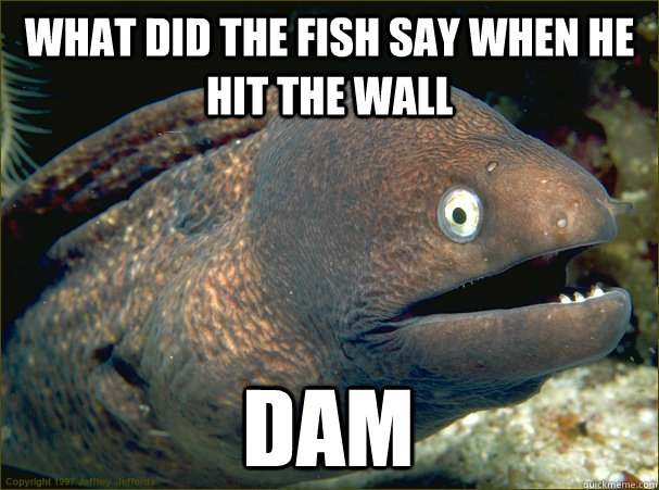 what did the fish say when he hit the wall dam - Bad Joke Eel