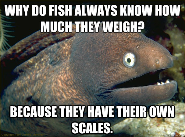 why do fish always know how much they weigh because they h - Bad Joke Eel