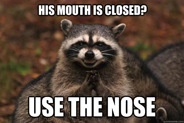 his mouth is closed use the nose - Evil Plotting Raccoon