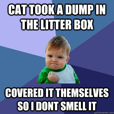 cat took a dump in the litter box covered it themselves so i - Success Kid