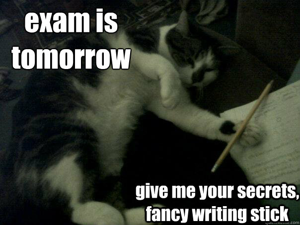 exam is tomorrow give me your secrets fancy writing stick Revision Kitty