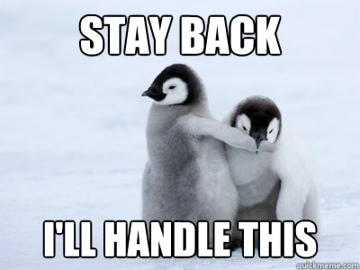 stay back ill handle this - Protective Penguin