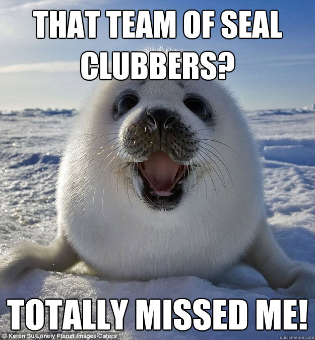 that team of seal clubbers totally missed me - Easily Pleased Seal