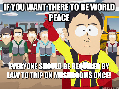 if you want there to be world peace everyone should be requi - Captain Hindsight
