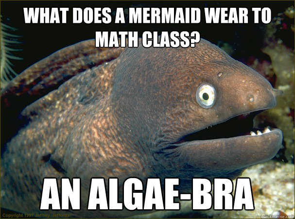 what does a mermaid wear to math class an algaebra - Bad Joke Eel
