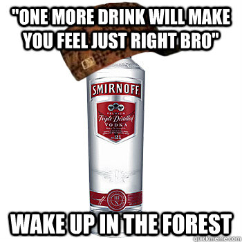 one more drink will make you feel just right bro wake up i - Scumbag Steve
