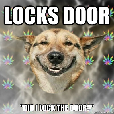 locks door did i lock the door - Stoner Dog