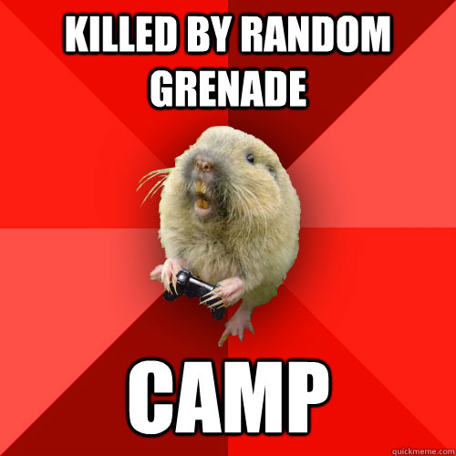 killed by random grenade camp - Gaming Gopher
