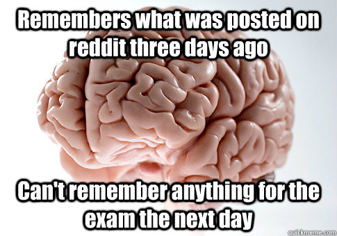 remembers what was posted on reddit three days ago cant rem - Scumbag Brain