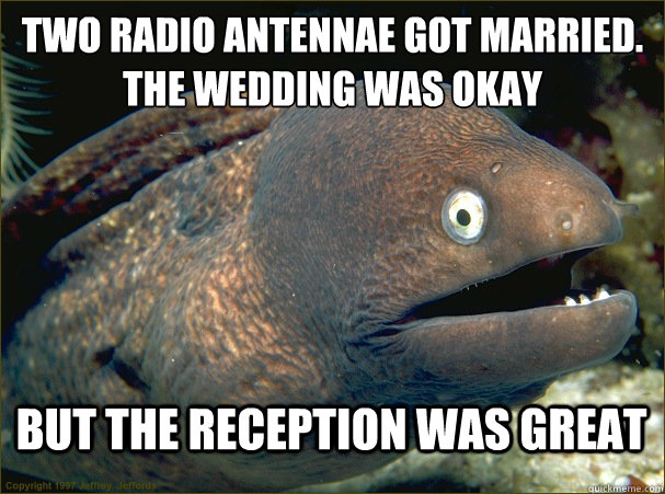 two radio antennae got married the wedding was okay but the - Bad Joke Eel