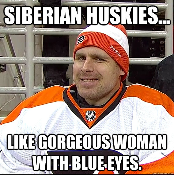 siberian huskies like gorgeous woman with blue eyes - Ilya Bryzgalov Solid Guy