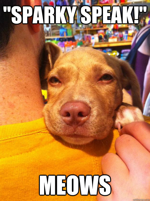 sparky speak meows - 10 Dog